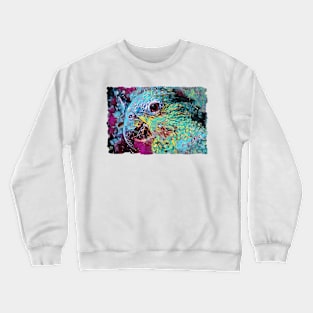 Parrot Abstract Art Design Crewneck Sweatshirt